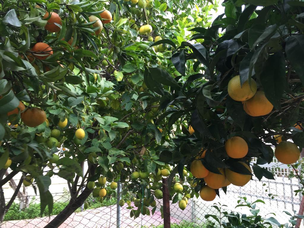 Best Location In 沃拉哈蒂 外观 照片